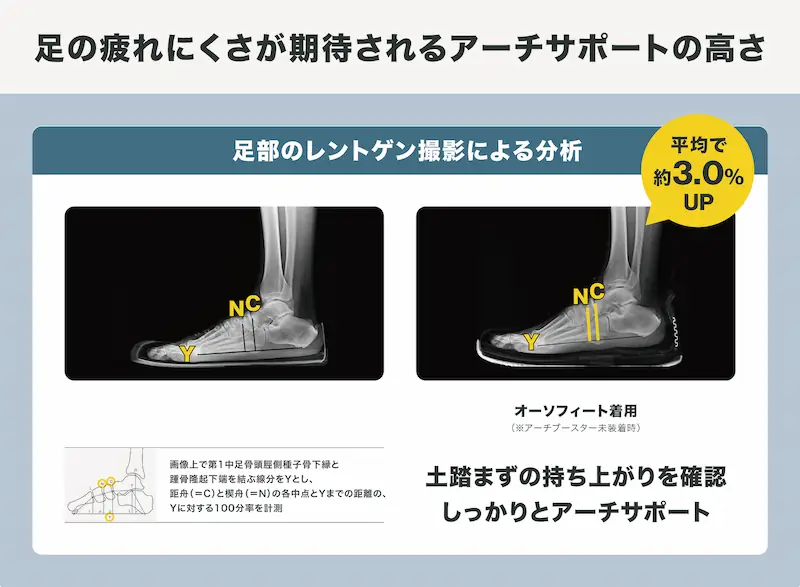 土踏まずの持ち上がりが平均約3.0%UP